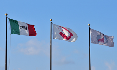 Three flags fly against a blue sky - one marked 1824, one with a bloody arm and sword, one the San Jacinto battle flag.