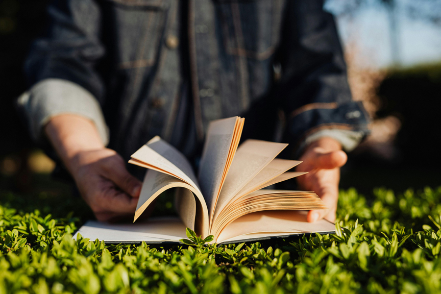 Hands flip the pages of a book, which rests on a hedge.